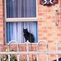 Photo of Kylo