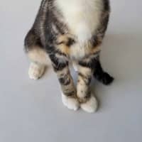 Photo of Elliette 