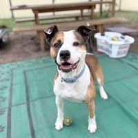 Photo of Jacko