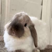 Photo of Johan