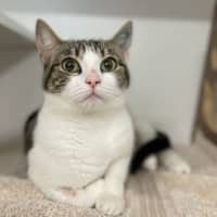 Photo of Niya