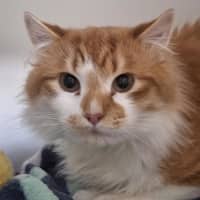 Photo of Wyatt