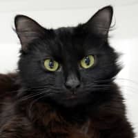 Photo of Jam Sta014098