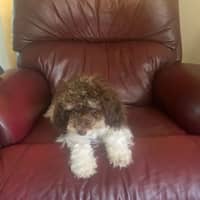 Photo of Harmony ☺️