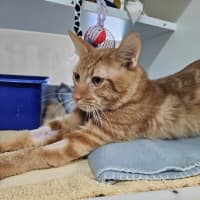 Photo of Sammy