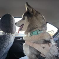 Photo of Nova