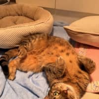 Photo of Luna