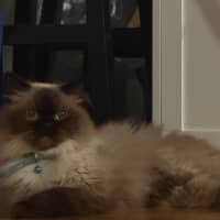 Photo of Jack