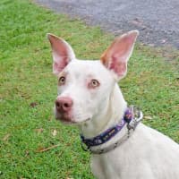 Photo of Marla