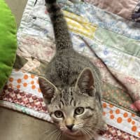 Photo of Boo