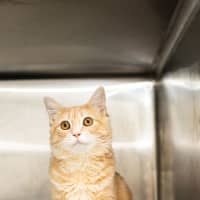 Photo of Sunny