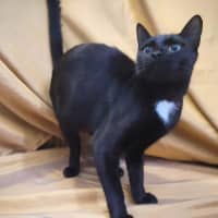 Photo of Kleo