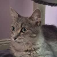 Photo of Emma