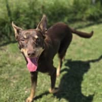 Photo of Juicy (64707)