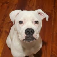 Photo of Lily