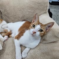 Photo of Bruce