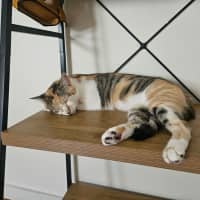 Photo of Matilda
