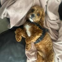 Photo of Kai And Kobi