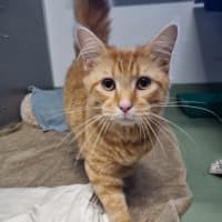 Photo of Butterball