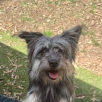 Photo of Oakley
