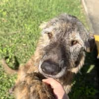 Photo of Coco & Rome 