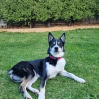 Photo of Zuri Mitrovic