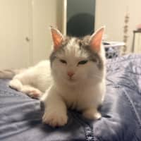 Photo of Kevin 