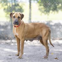 Photo of Dayna (Donya)