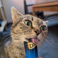 Photo of 💖Rin!!💖