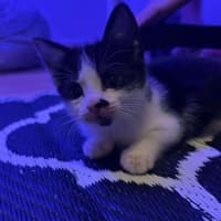 Photo of Katara