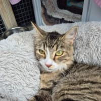 Photo of Bailey!  👑 