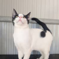 Photo of Nell 