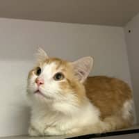 Photo of Bingo