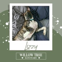 Photo of Lizzy