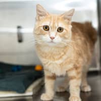 Photo of Sunny