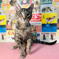 Photo of Lyle   Located In Preston 