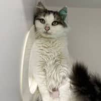 Photo of Mollly