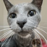 Photo of Ozias