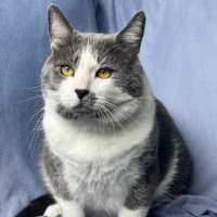 Photo of Don   In Foster Care In Mernda