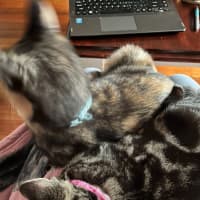 Photo of Delilah & Elfie