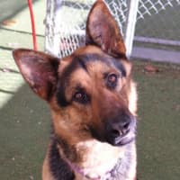 Photo of Max