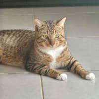 Photo of Sammy