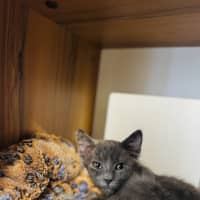 Photo of Wiggles 