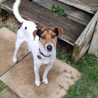 Photo of Jack Jack Silvanus