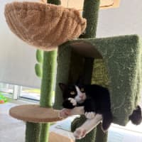 Photo of Fifi