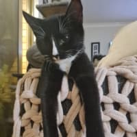 Photo of Mollie