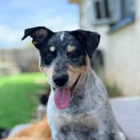 Photo of Locki