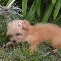 Photo of Matilda