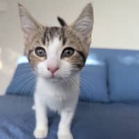 Photo of Sophia Golden