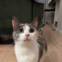 Photo of Mabel